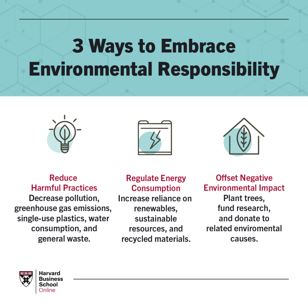 Corporate Examples of Environmental Responsibility